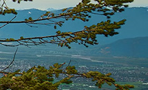 Image of Lake Errock campus